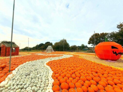 Things to do on halloween